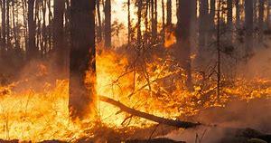 incendi