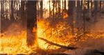 incendi